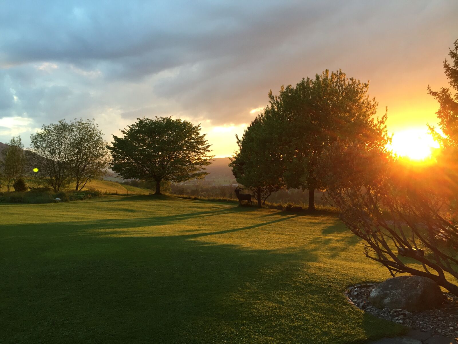 iPhone 6 Plus back camera 4.15mm f/2.2 sample photo. Nature, natural, sunset photography