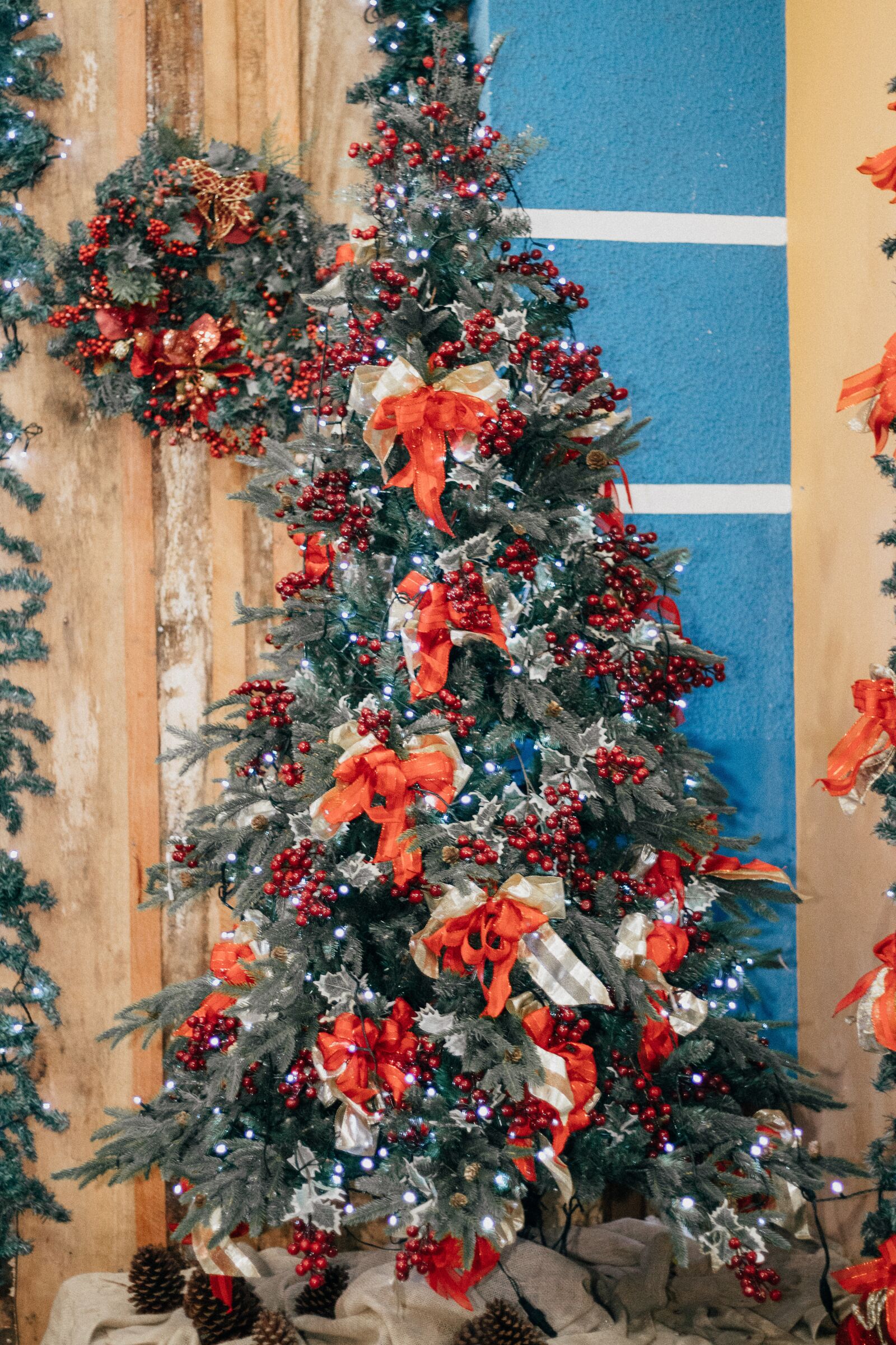 Canon EOS 80D + Canon EF 50mm F1.8 STM sample photo. Christmas tree, pinheiro, decoration photography