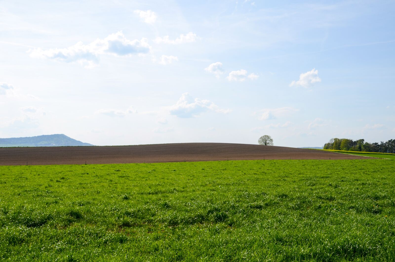 Nikon D7000 sample photo. Landscape, panorama, field photography