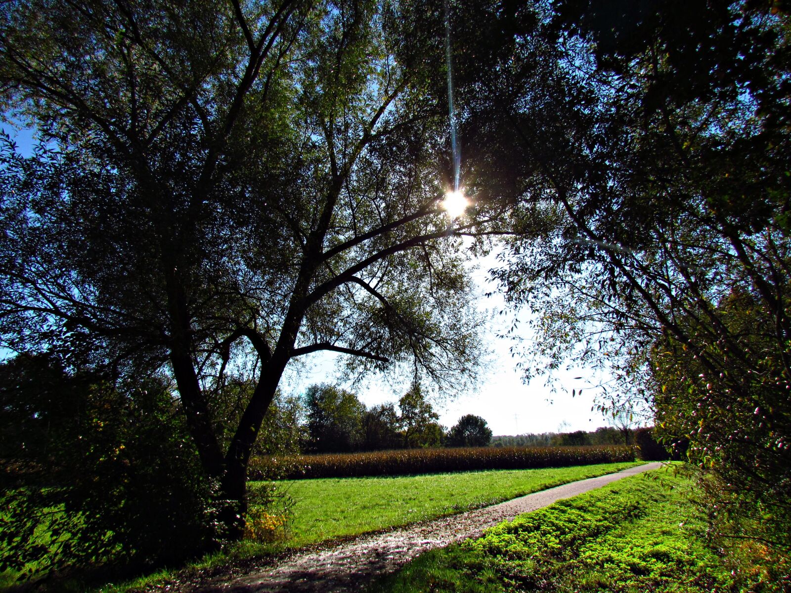Canon PowerShot SX30 IS sample photo. The sun, glimmer, landscape photography