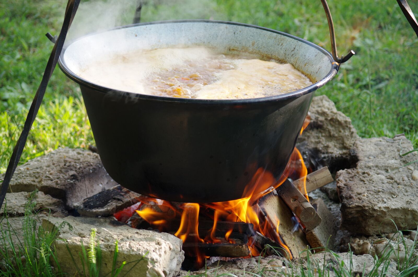 Pentax K-500 sample photo. Stew, soup, picnic photography