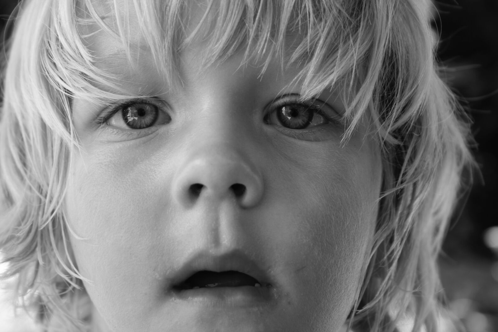 Canon EOS 350D (EOS Digital Rebel XT / EOS Kiss Digital N) sample photo. Boy, family, son photography