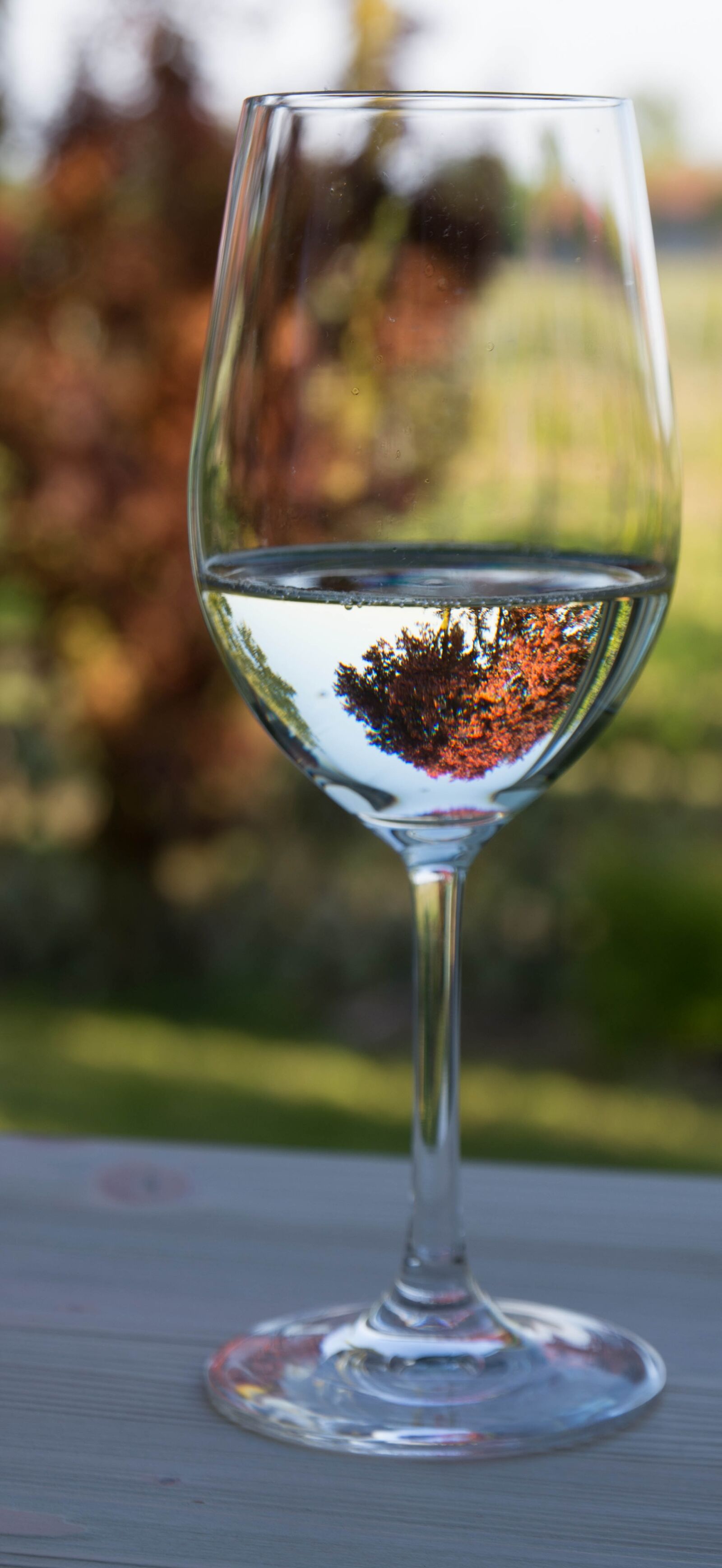 Nikon D7100 sample photo. Wine glass, white wine photography