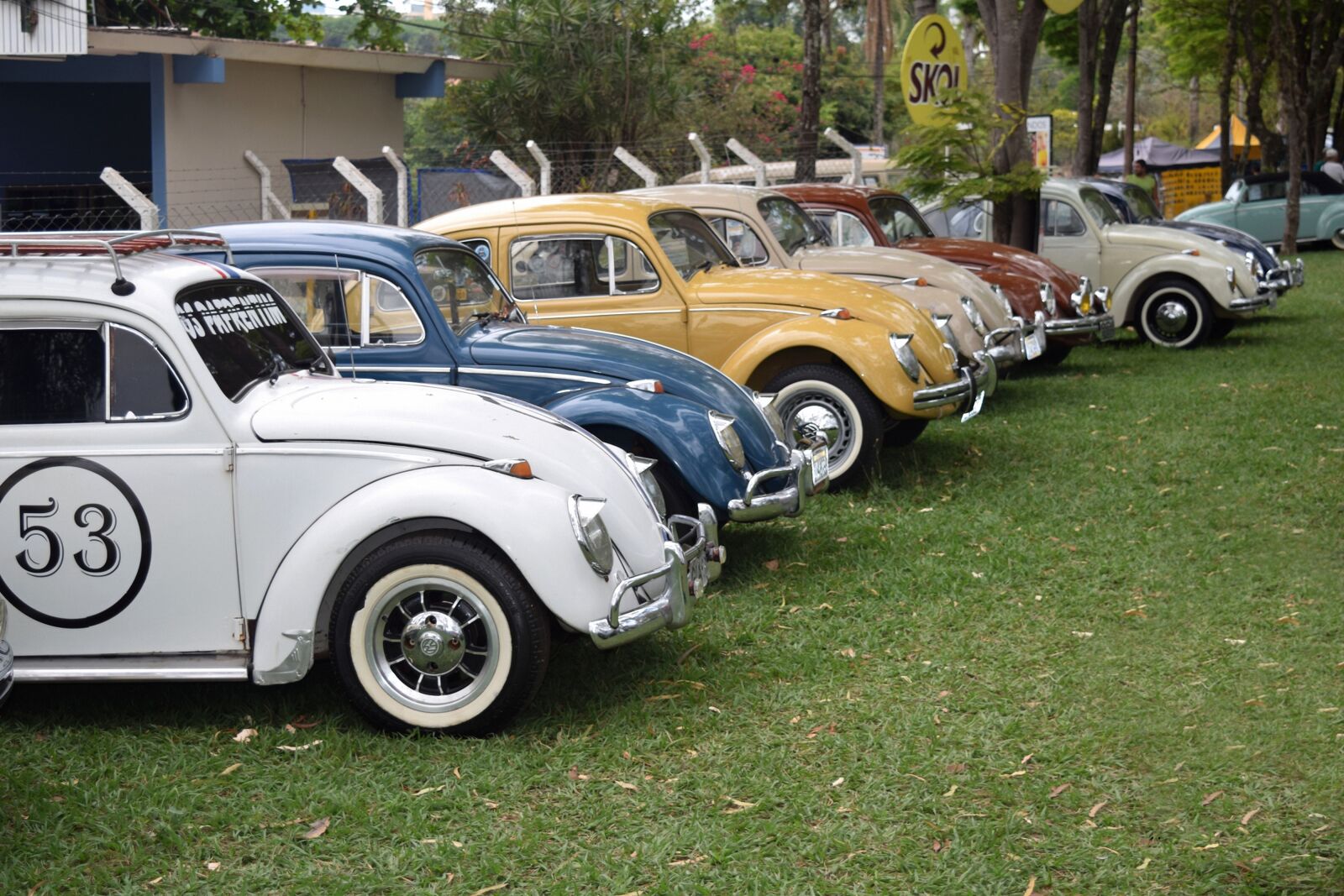 Nikon D5300 sample photo. Fusca, herby, vehicle photography
