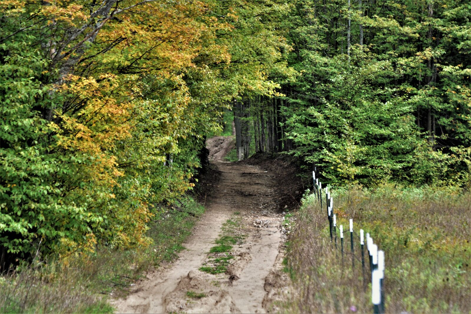 Nikon D5500 sample photo. Country, road, nature photography