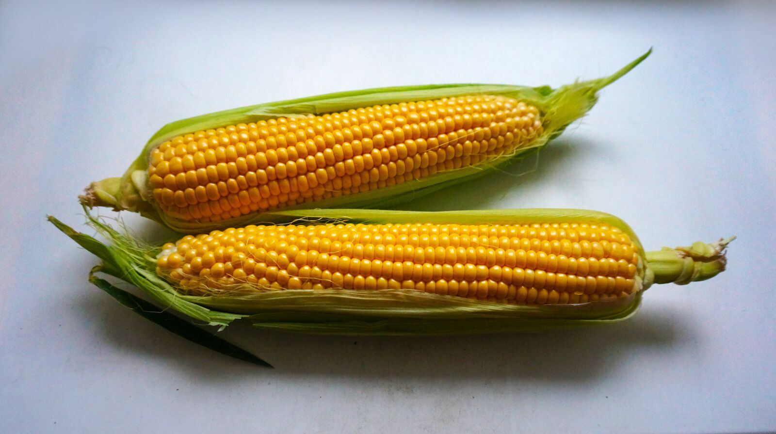 Sony Alpha NEX-5T sample photo. Ear of corn, leaves photography