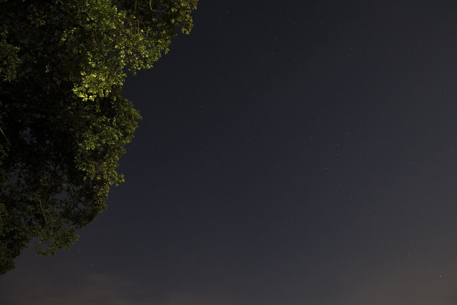 Canon EF 24-70mm F2.8L II USM sample photo. The night sky, the photography