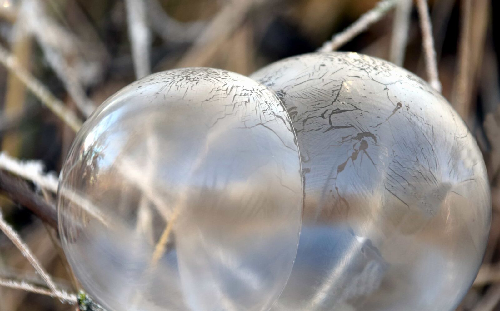Nikon D3300 sample photo. Nature, ice, reflection, winter photography