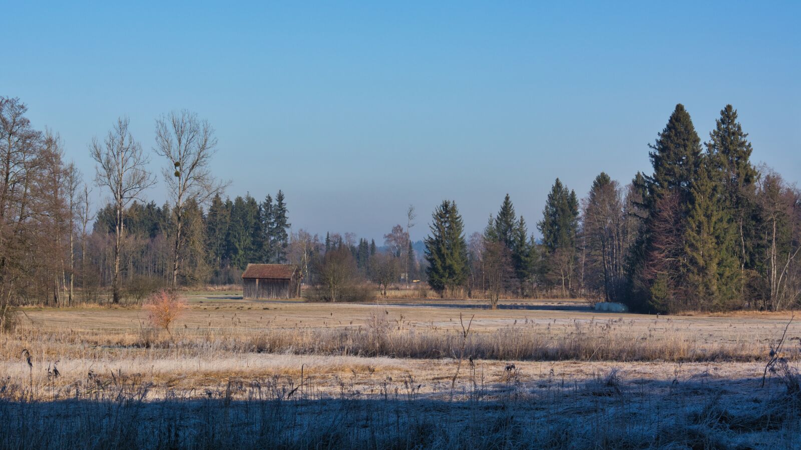 Nikon D7100 sample photo. Autumn, nature, landscape photography