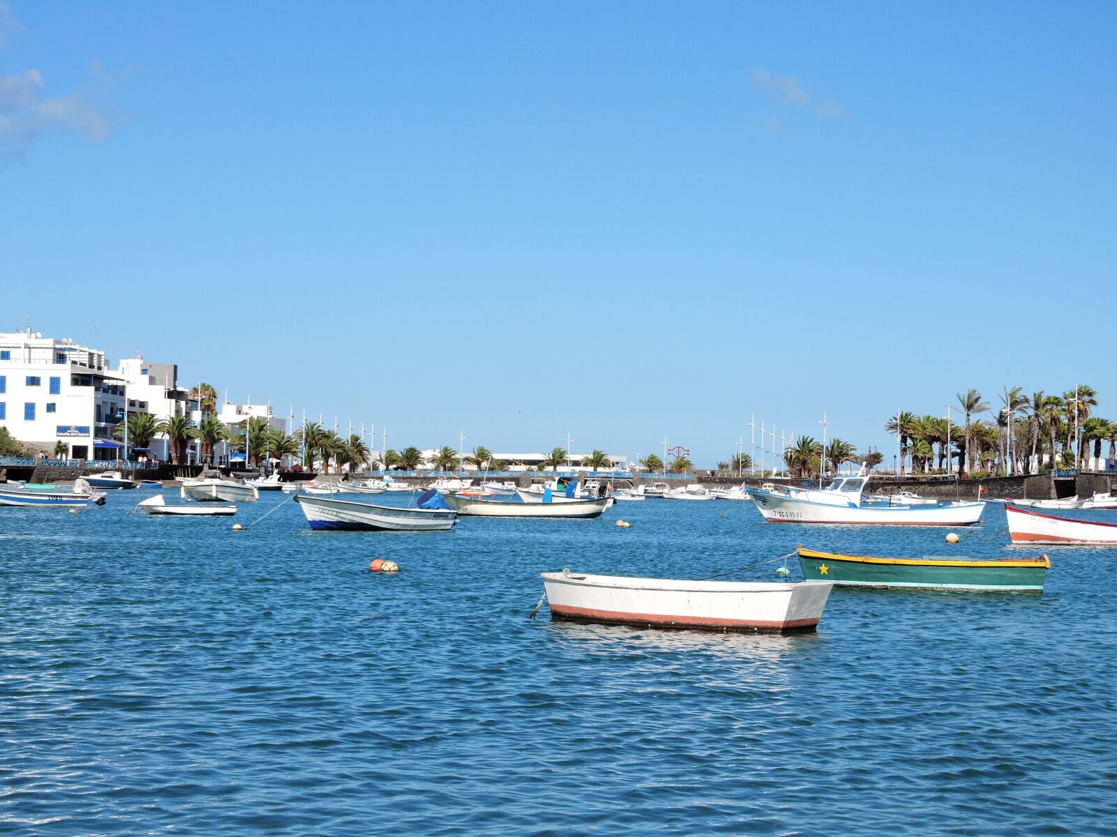 Nikon Coolpix P600 sample photo. Arrecife, ocean, water photography
