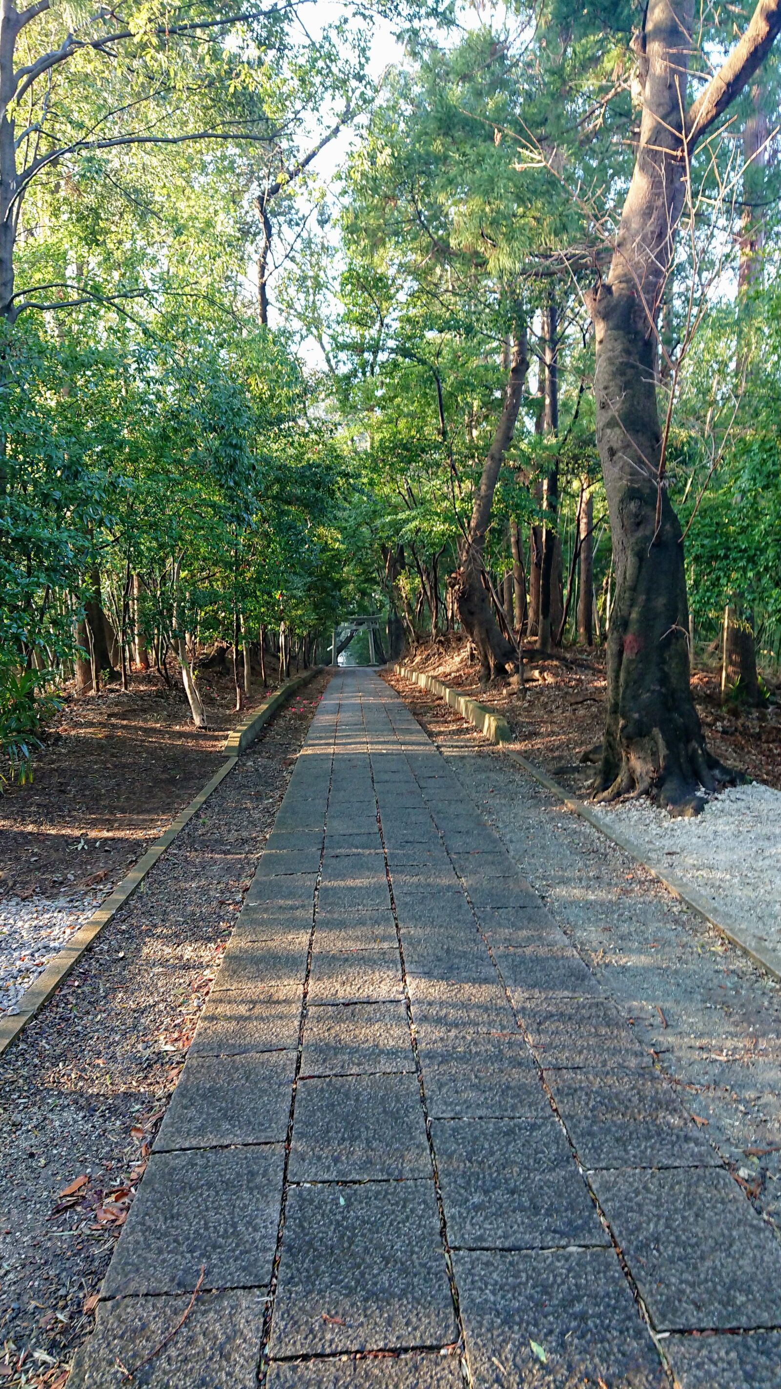 Sony Xperia XZ Premium sample photo. 山田神社, omotesando, tranquility photography