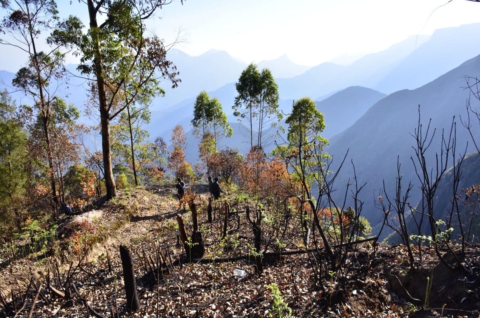 Nikon D7000 sample photo. Landscape, mountain, kodaikanal photography