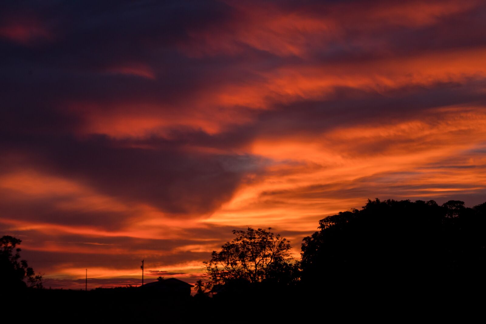 Pentax K-S2 sample photo. Beauty, evening, night photography