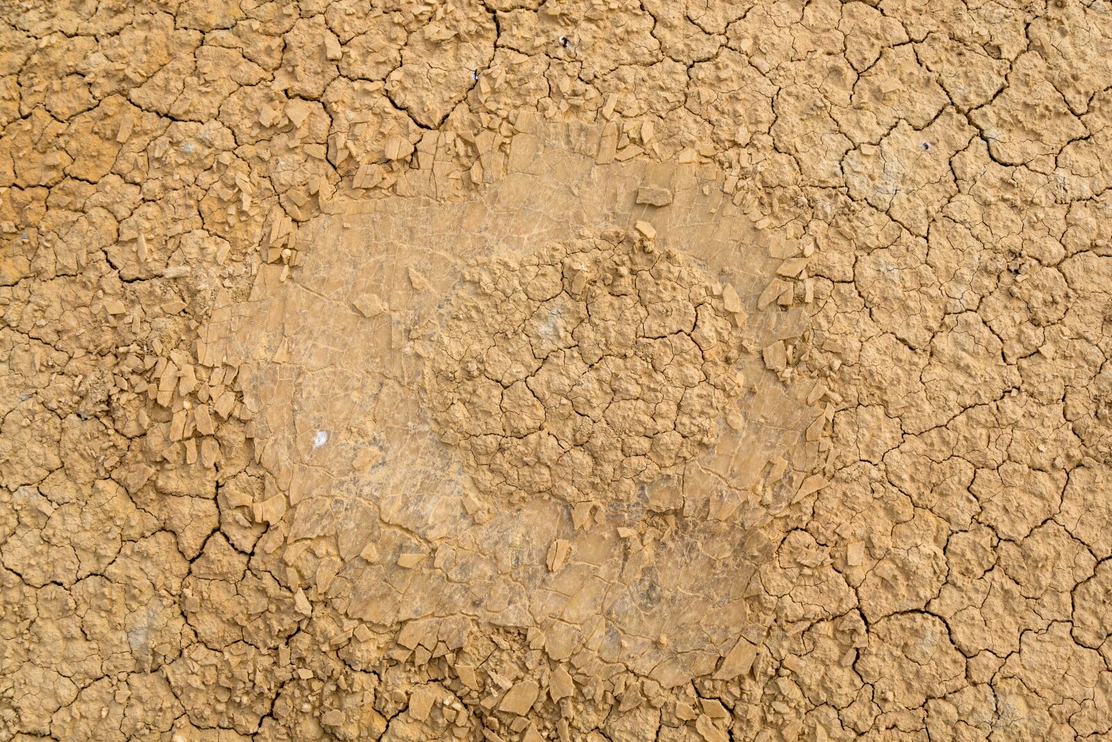 Nikon D610 sample photo. Soil, cracks, clay photography