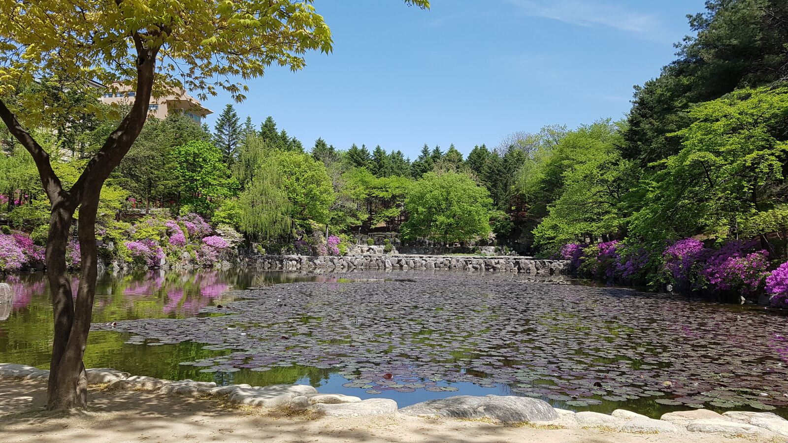 Samsung Galaxy S7 Edge sample photo. Lake, nature, scenery photography