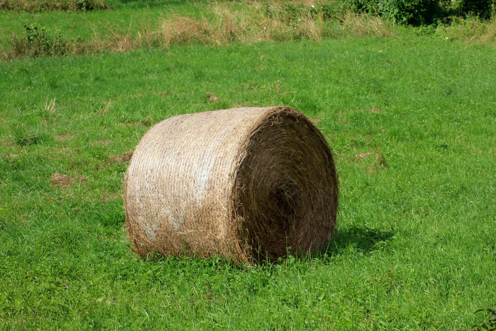 Canon EOS 1200D (EOS Rebel T5 / EOS Kiss X70 / EOS Hi) sample photo. Bales of hay, landscape photography