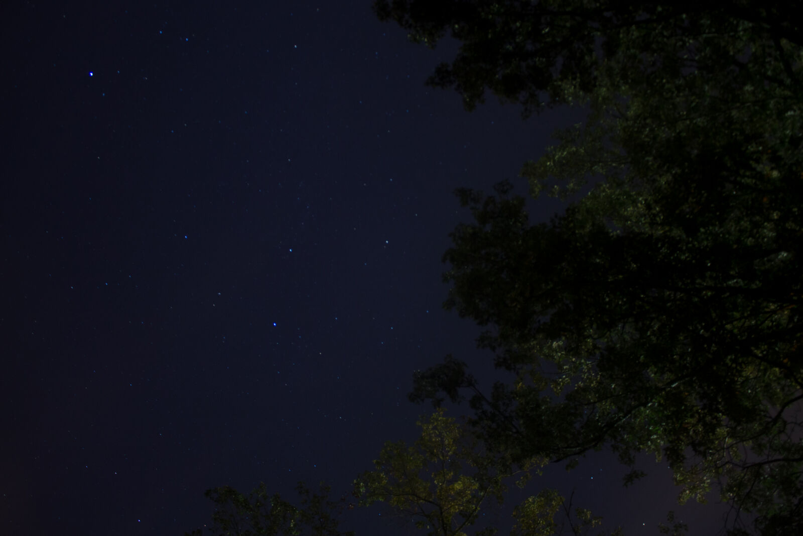 Canon EOS 1100D (EOS Rebel T3 / EOS Kiss X50) sample photo. Night, sky, stars, suburb photography