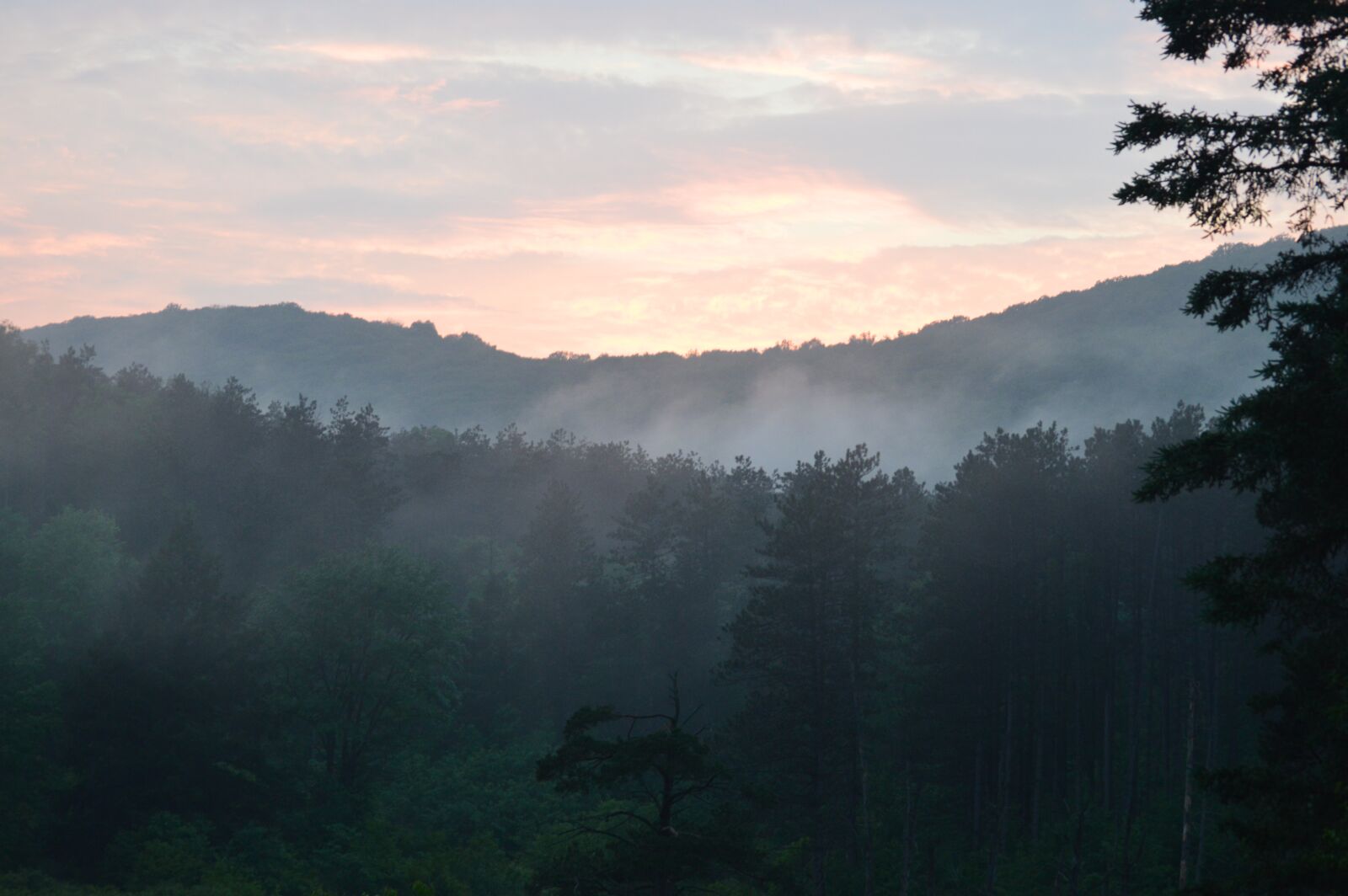 Nikon D3200 sample photo. Catskills, fog, forest photography