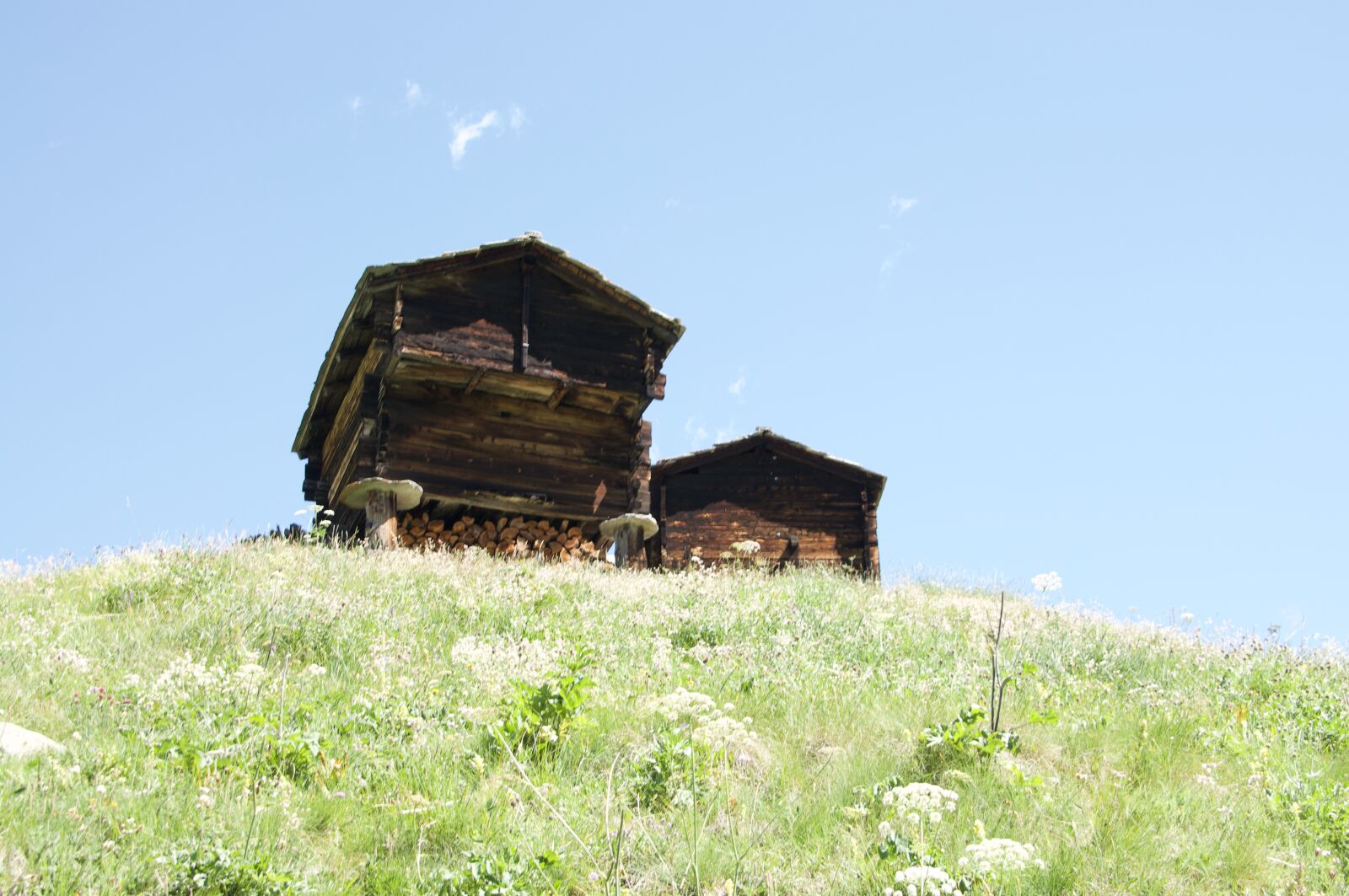 Nikon D90 sample photo. Alps, switzerland, raccard photography