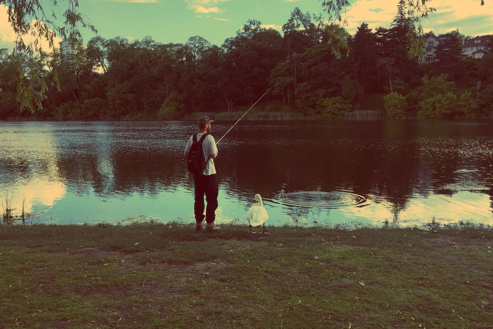Apple iPhone 6s sample photo. Fishing, nature, lake photography