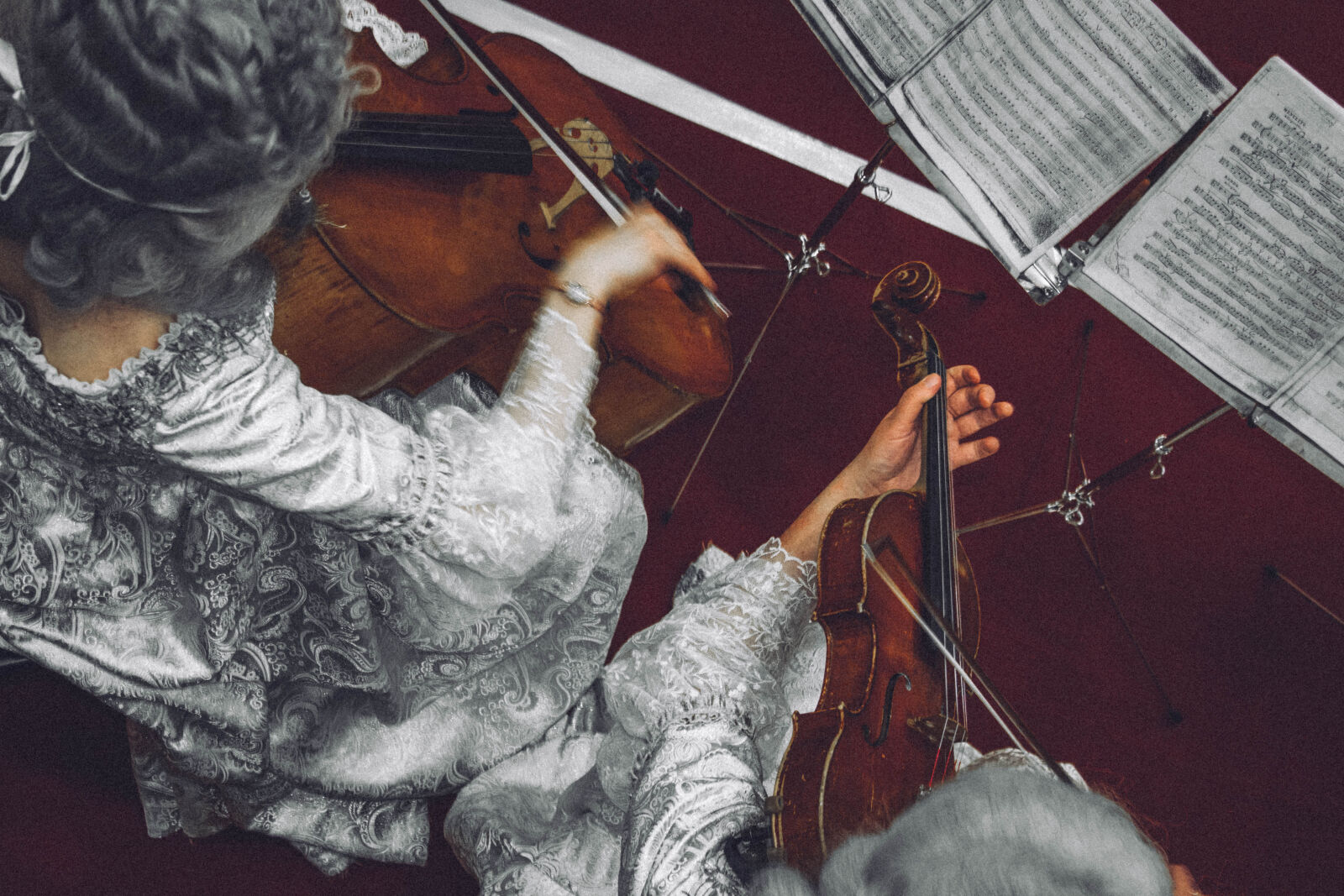 Canon EOS 550D (EOS Rebel T2i / EOS Kiss X4) sample photo. Classical, music, music, violin photography