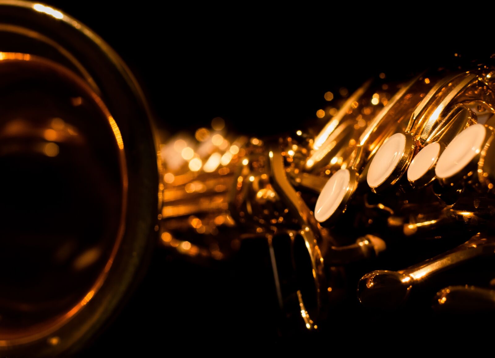 Nikon D5600 sample photo. Music, saxophone, summer photography