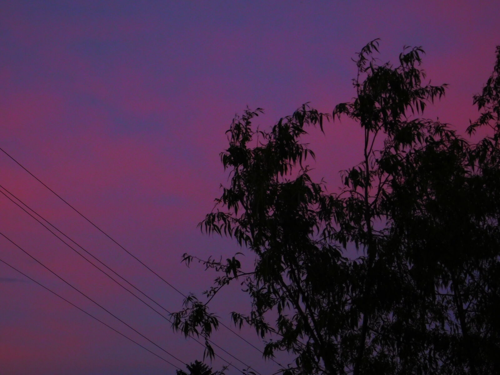 Nikon Coolpix L840 sample photo