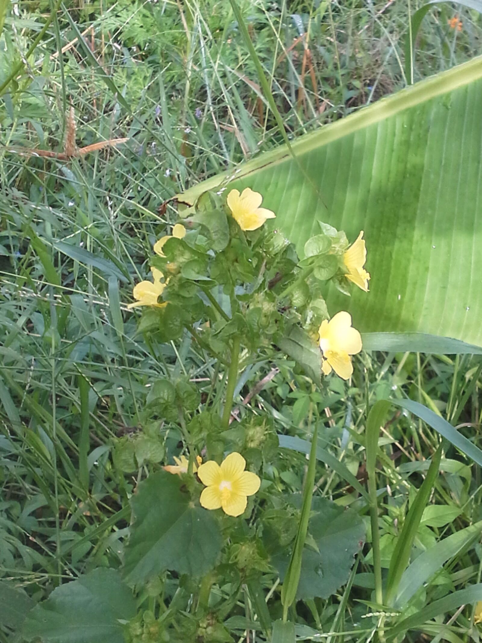 Samsung Galaxy Note 10.1 sample photo