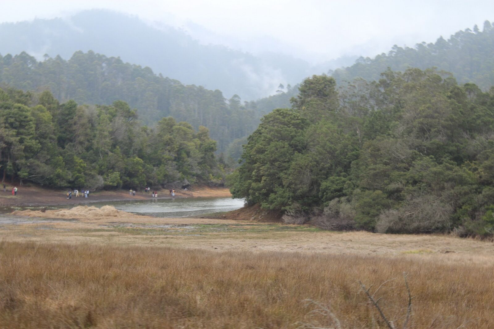 Canon EOS 600D (Rebel EOS T3i / EOS Kiss X5) sample photo. Southindia, river, dense photography