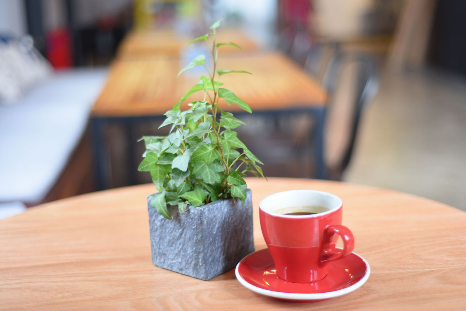 Nikon D750 sample photo. Coffee, leisure, lisa photography