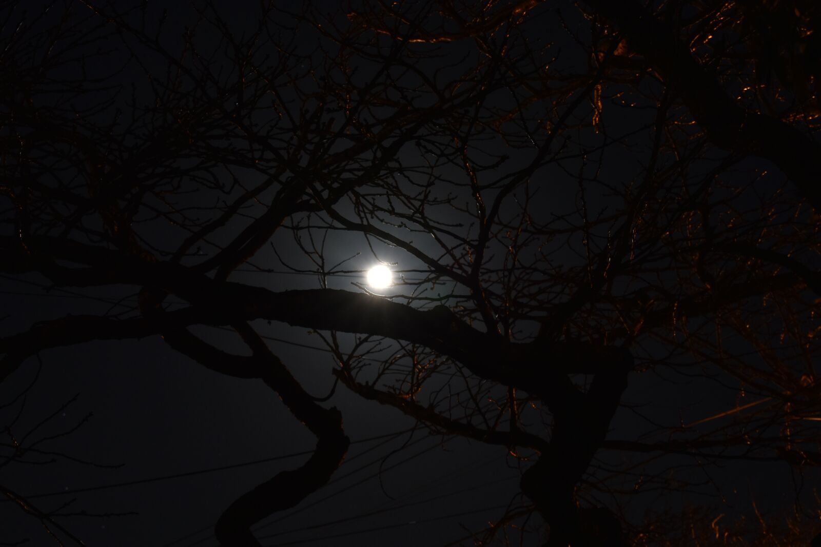 Nikon D3400 sample photo. Night, sky, moon photography