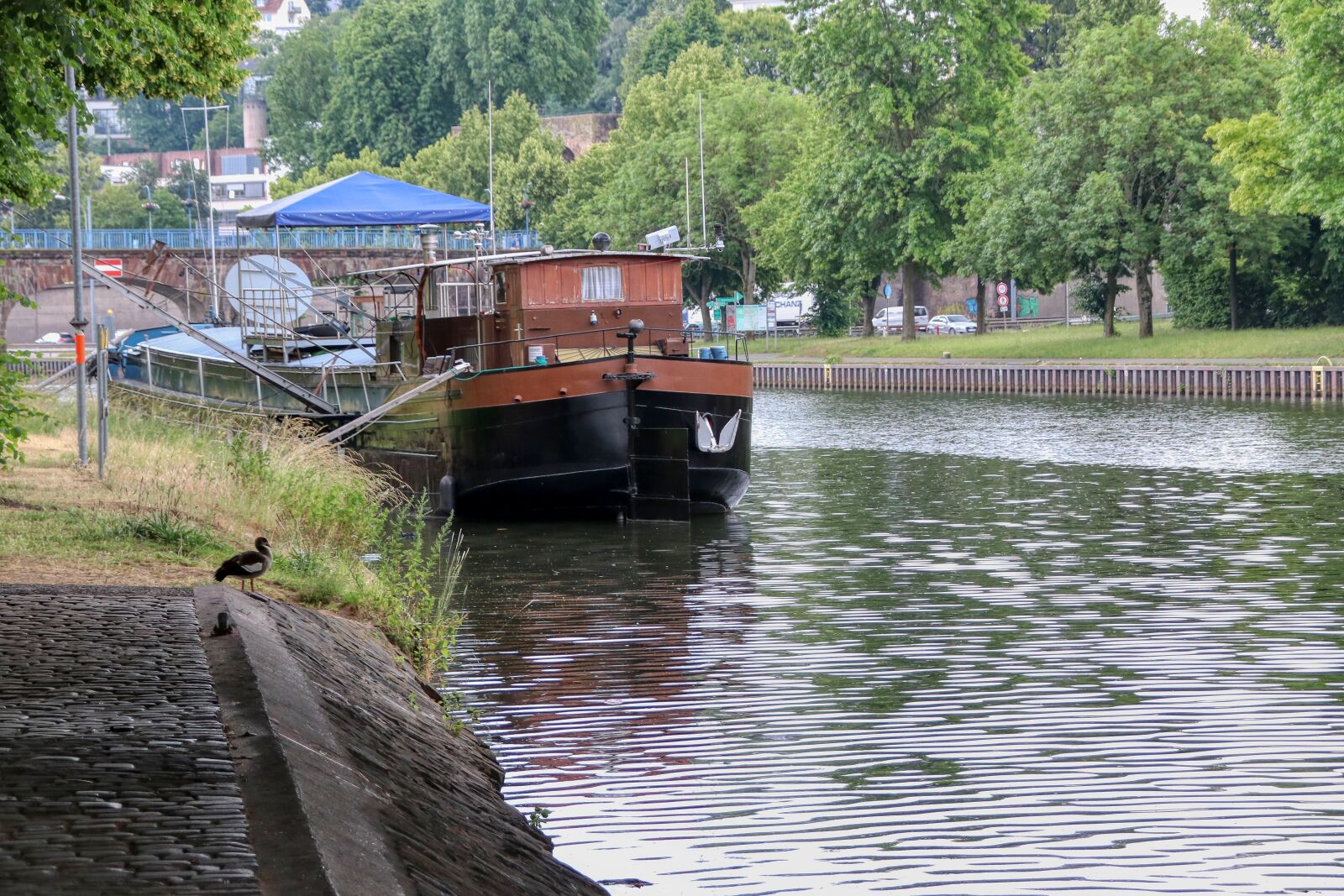 Canon EOS 80D sample photo. River, saar, ship photography