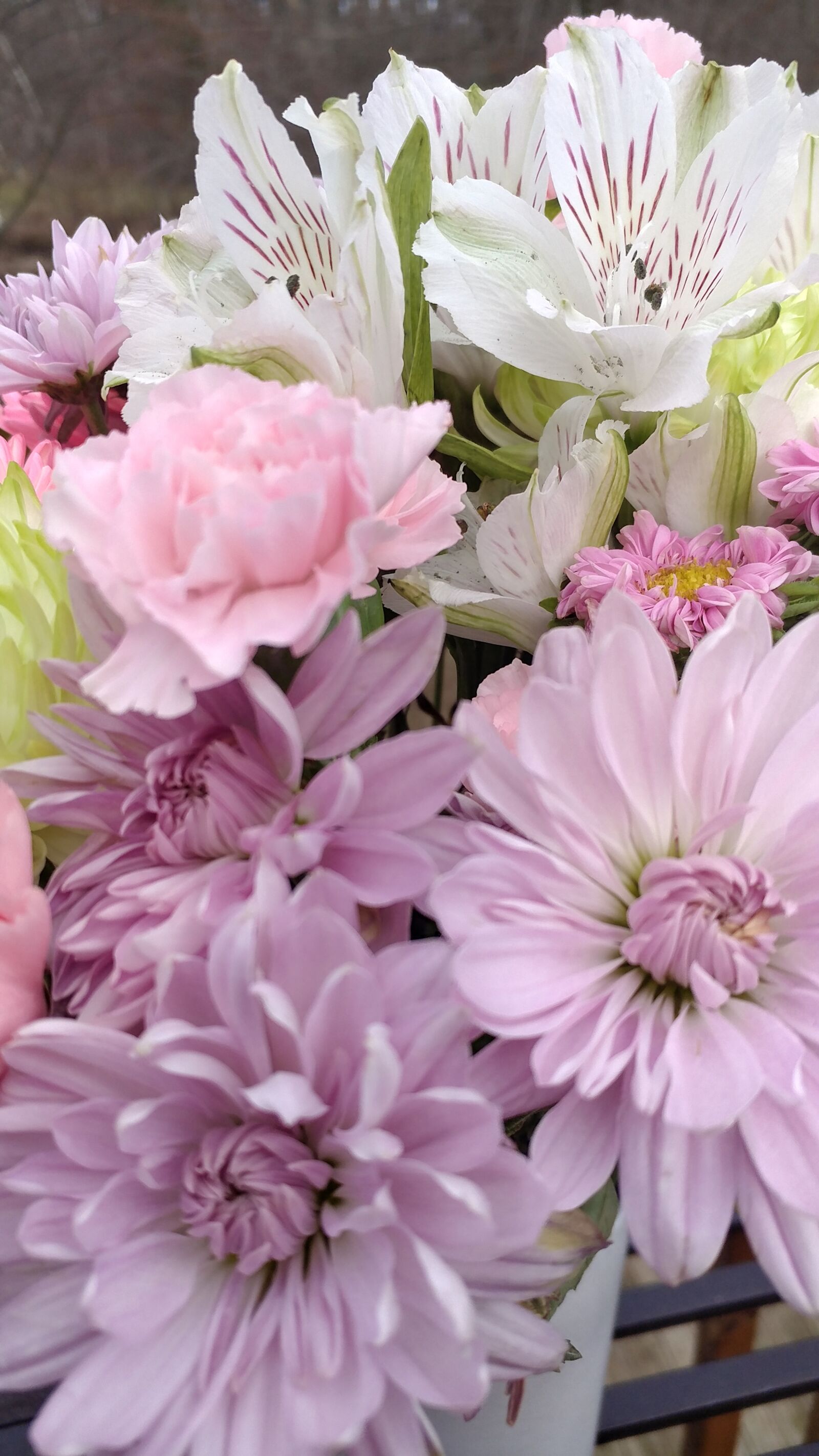 LG V20 sample photo. Pastel, spring, flowers photography