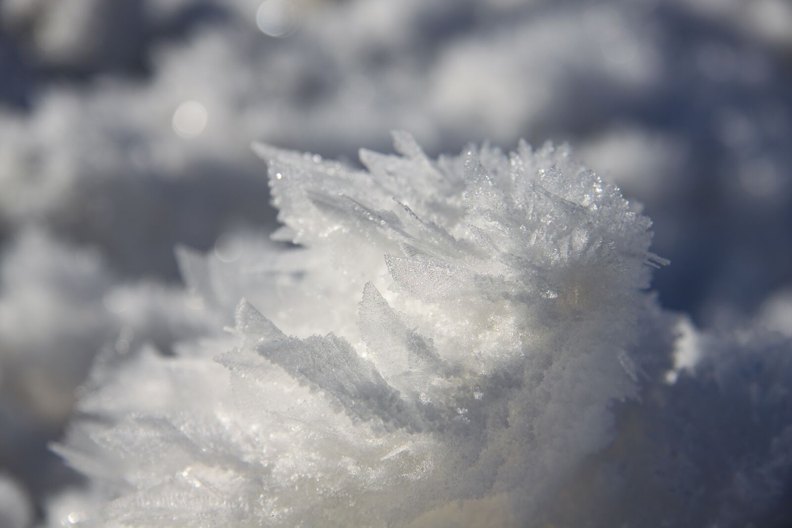 Canon EOS 50D sample photo. Eiskristalle, snow, white photography