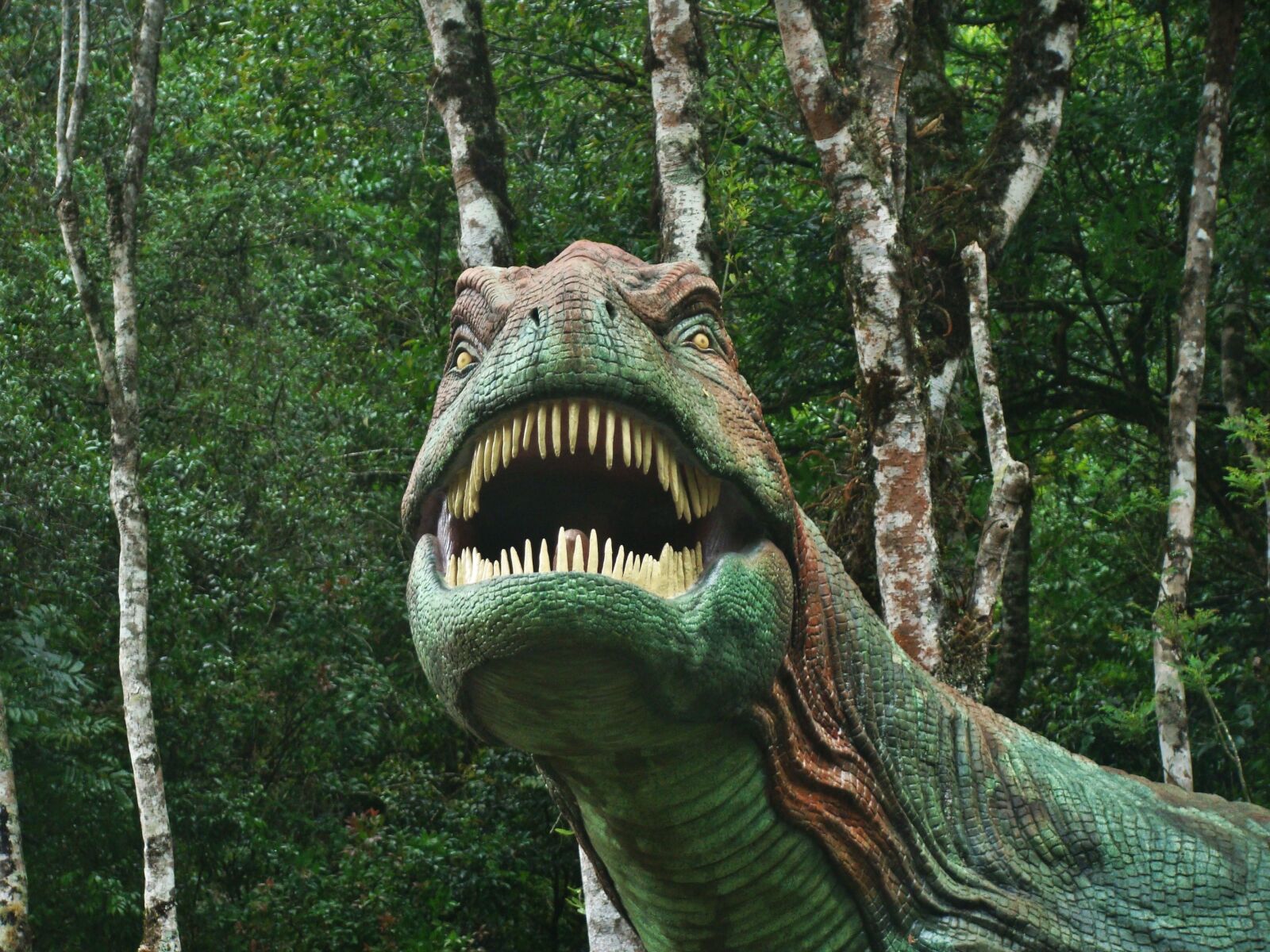 Sony Cyber-shot DSC-H50 sample photo. Dinosaur, forest, ride photography