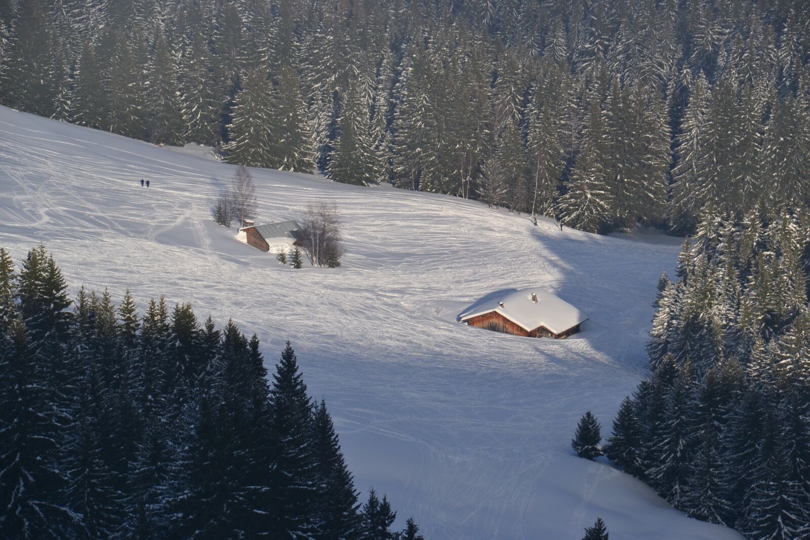 Nikon D3100 sample photo. House under snow, ski photography