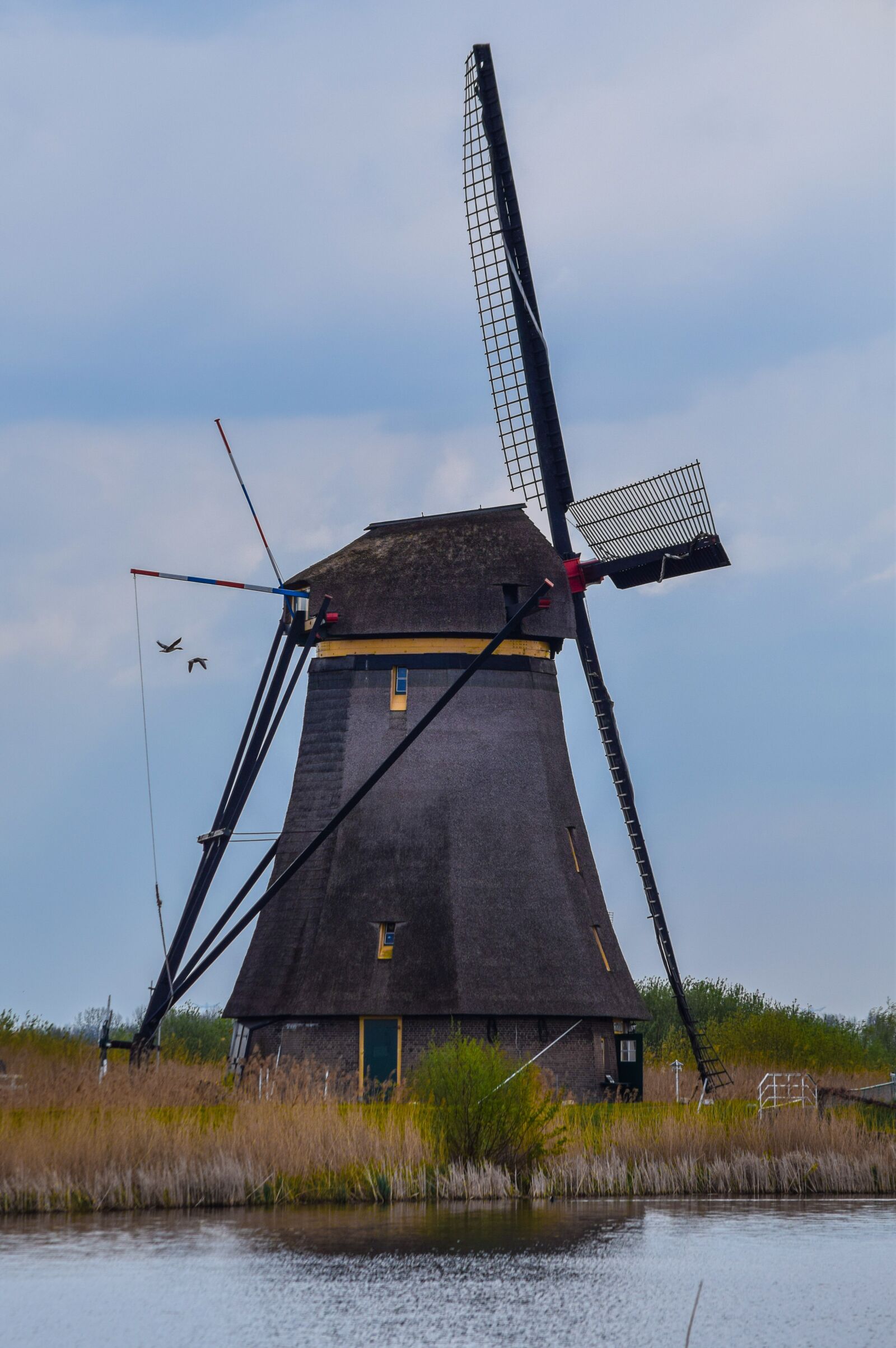 Nikon D5300 sample photo. Mill, netherlands, kinderdijk photography