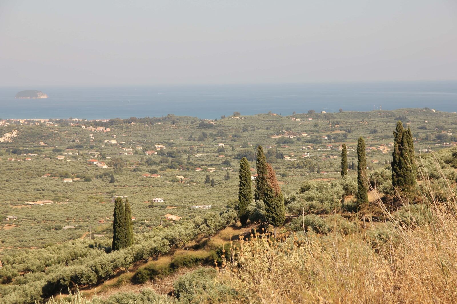 Canon EOS 550D (EOS Rebel T2i / EOS Kiss X4) + Sigma 17-70mm F2.8-4 DC Macro OS HSM sample photo. Panorama, cypress, hillside, ocean photography