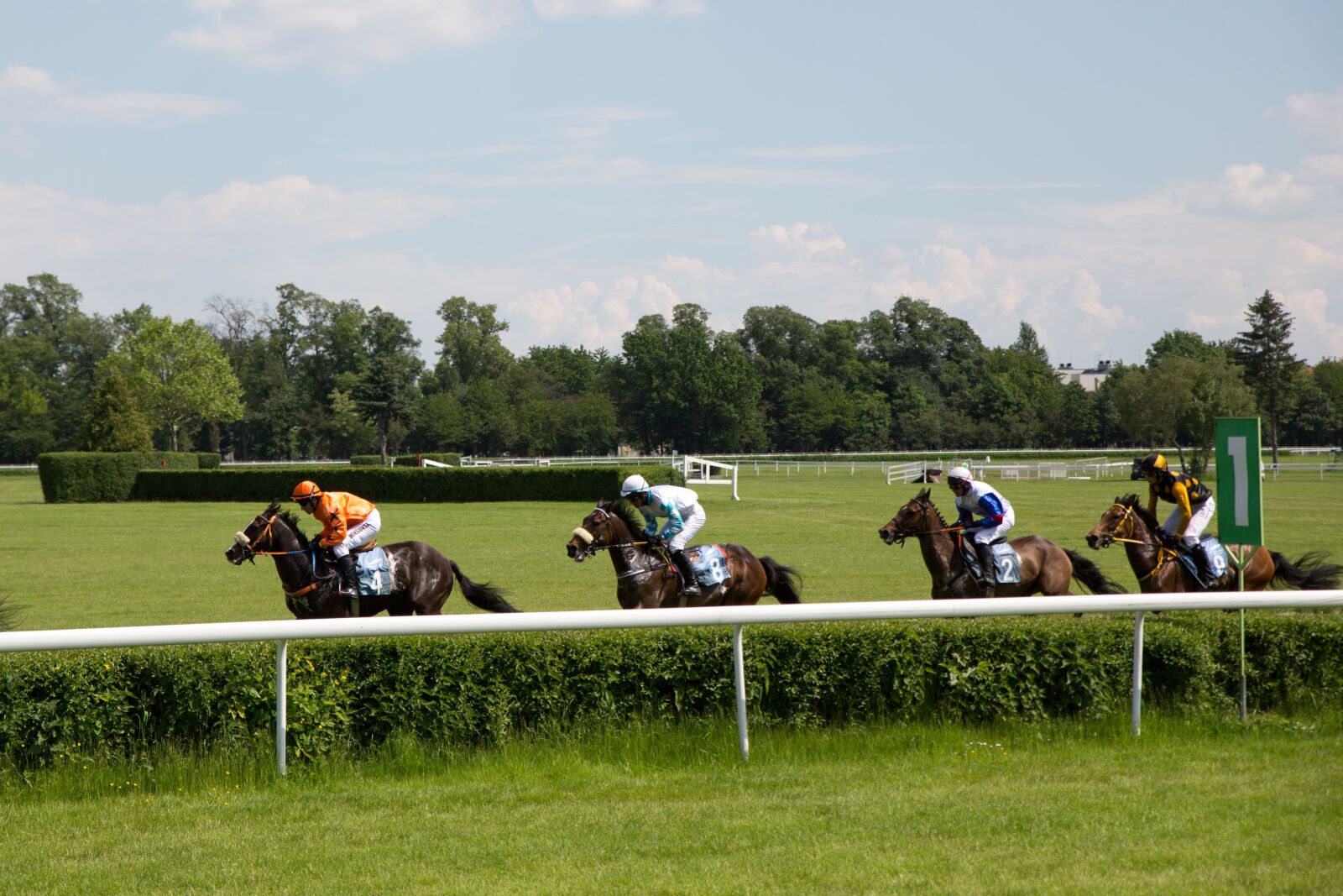 Canon EOS 5D Mark III sample photo. Horses, horse racing, race photography