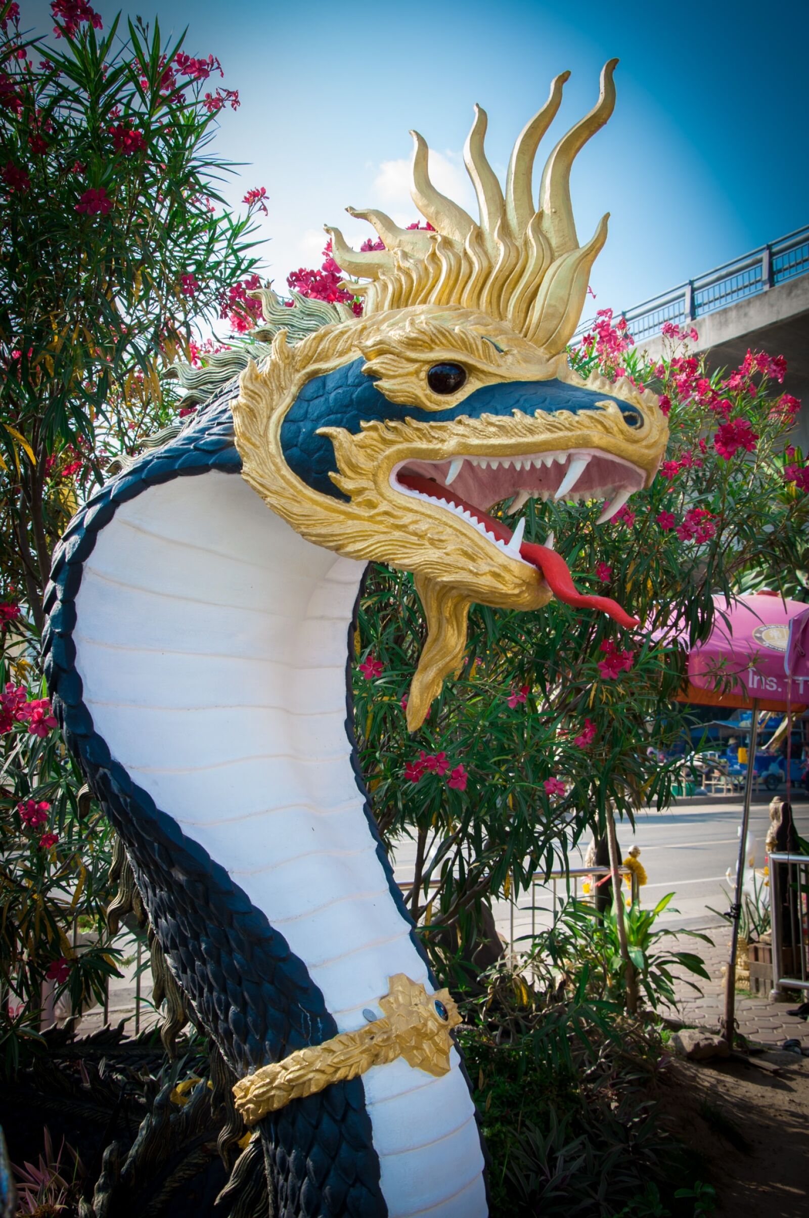 Nikon D90 sample photo. Naga, thailand, mukdahan photography