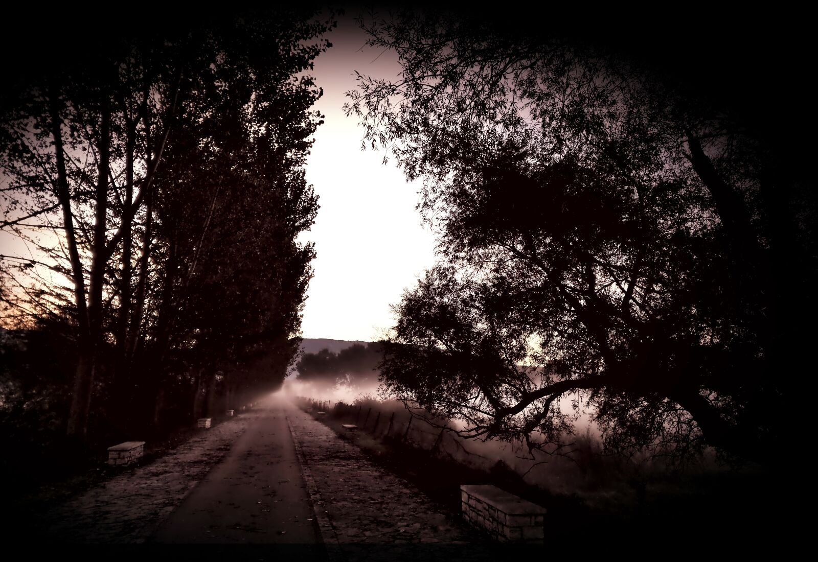 Motorola Nexus 6 sample photo. Fog, dark landscape, morning photography