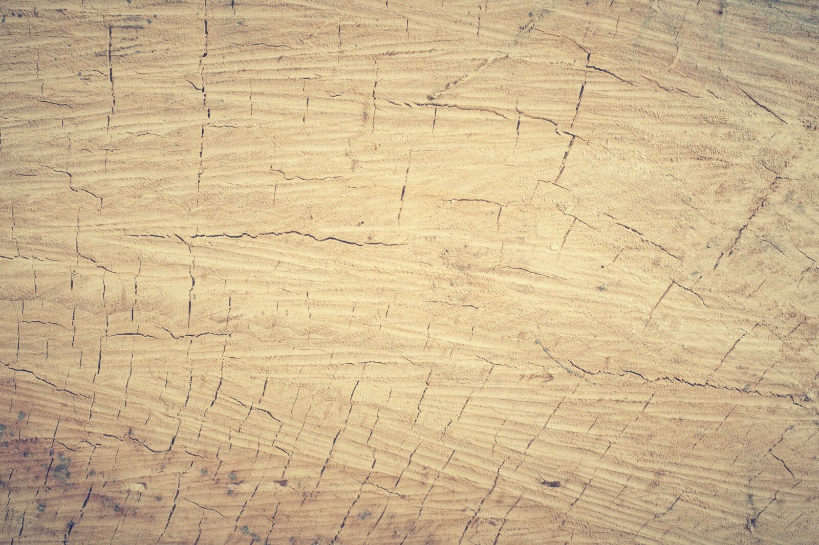 Nikon D700 sample photo. Abstract, antique, backdrop photography