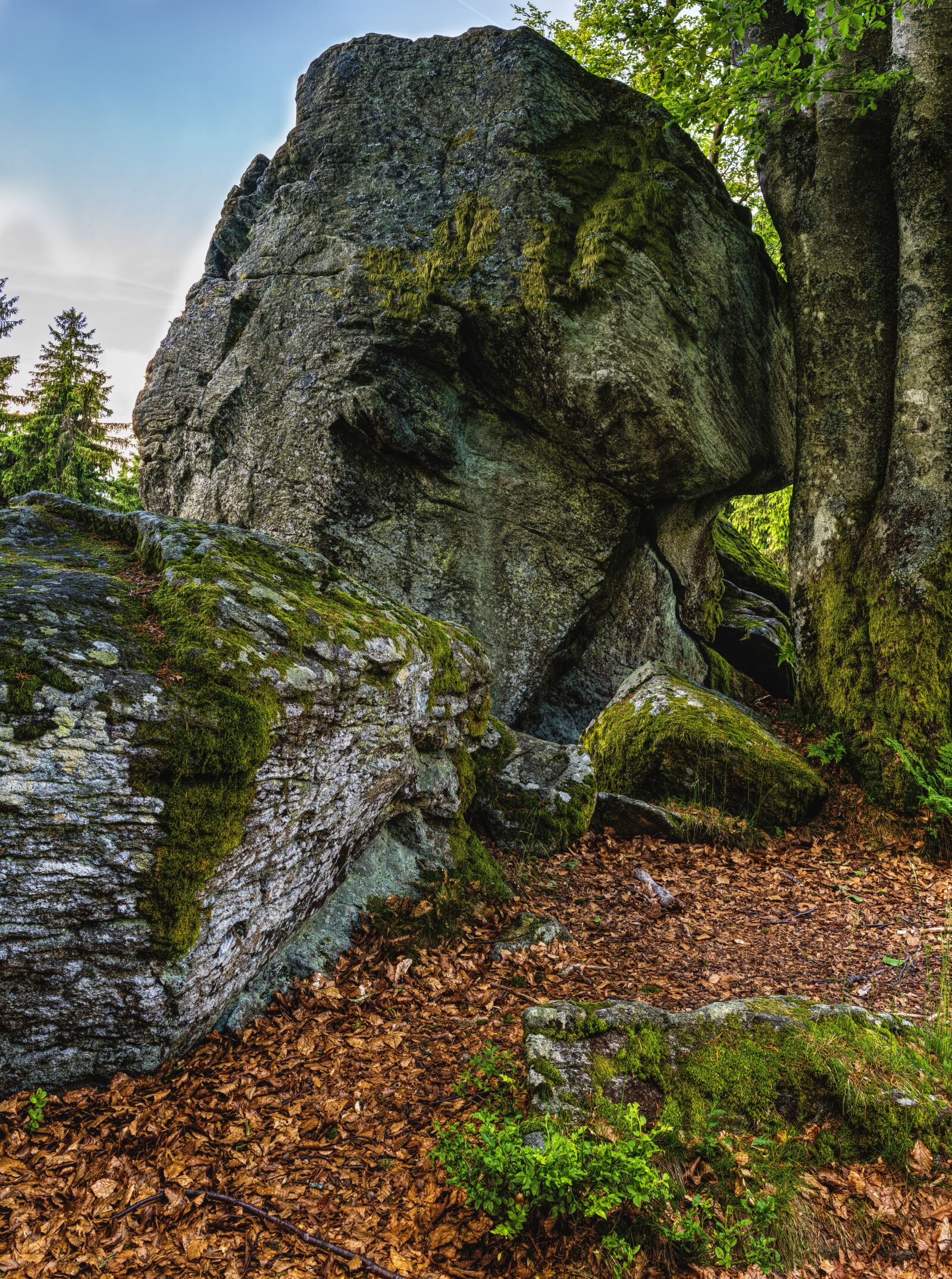 Sony a6300 + Sigma 30mm F2.8 EX DN sample photo. Rock, stone, leaves photography