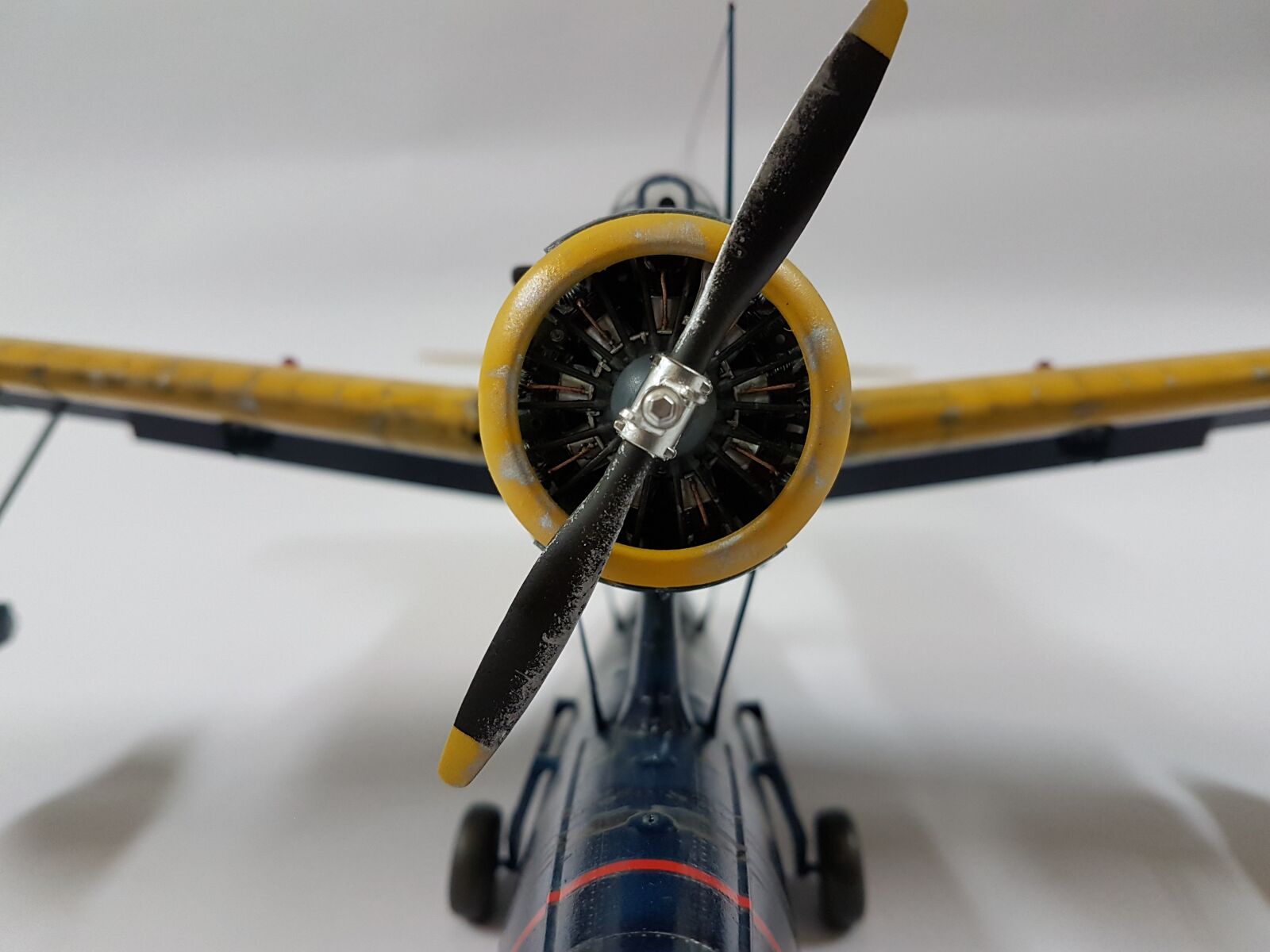 Samsung Galaxy S7 Edge sample photo. Modelkit, kingfisher, fach photography