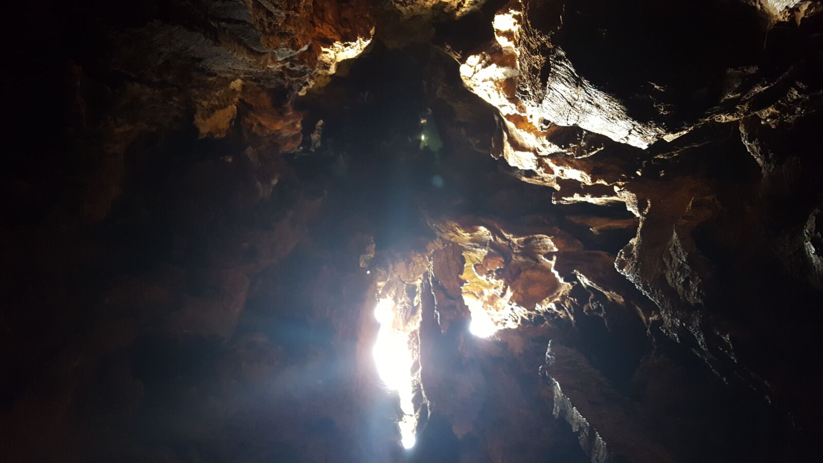 Samsung GALAXY S6 edge sample photo. Hollow shaft, tree, mystical photography
