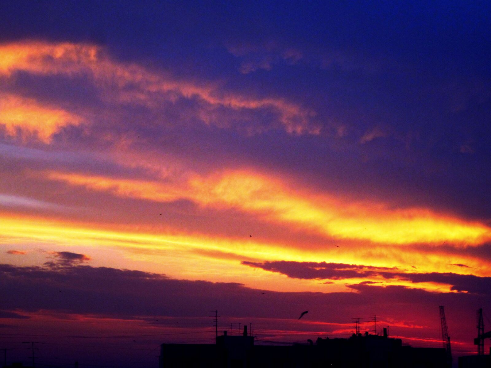 Canon PowerShot A1100 IS sample photo. Sky, sunset, samara photography