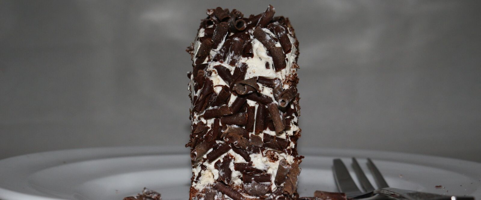 Canon EOS 100D (EOS Rebel SL1 / EOS Kiss X7) sample photo. Cake, food, fork photography