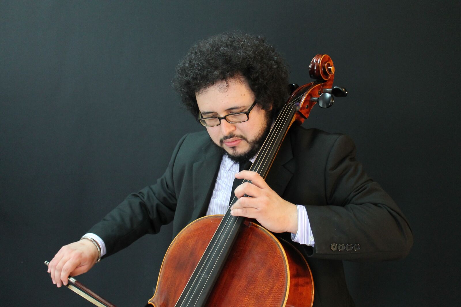 Canon EOS 1100D (EOS Rebel T3 / EOS Kiss X50) sample photo. Violin, master, instruments photography