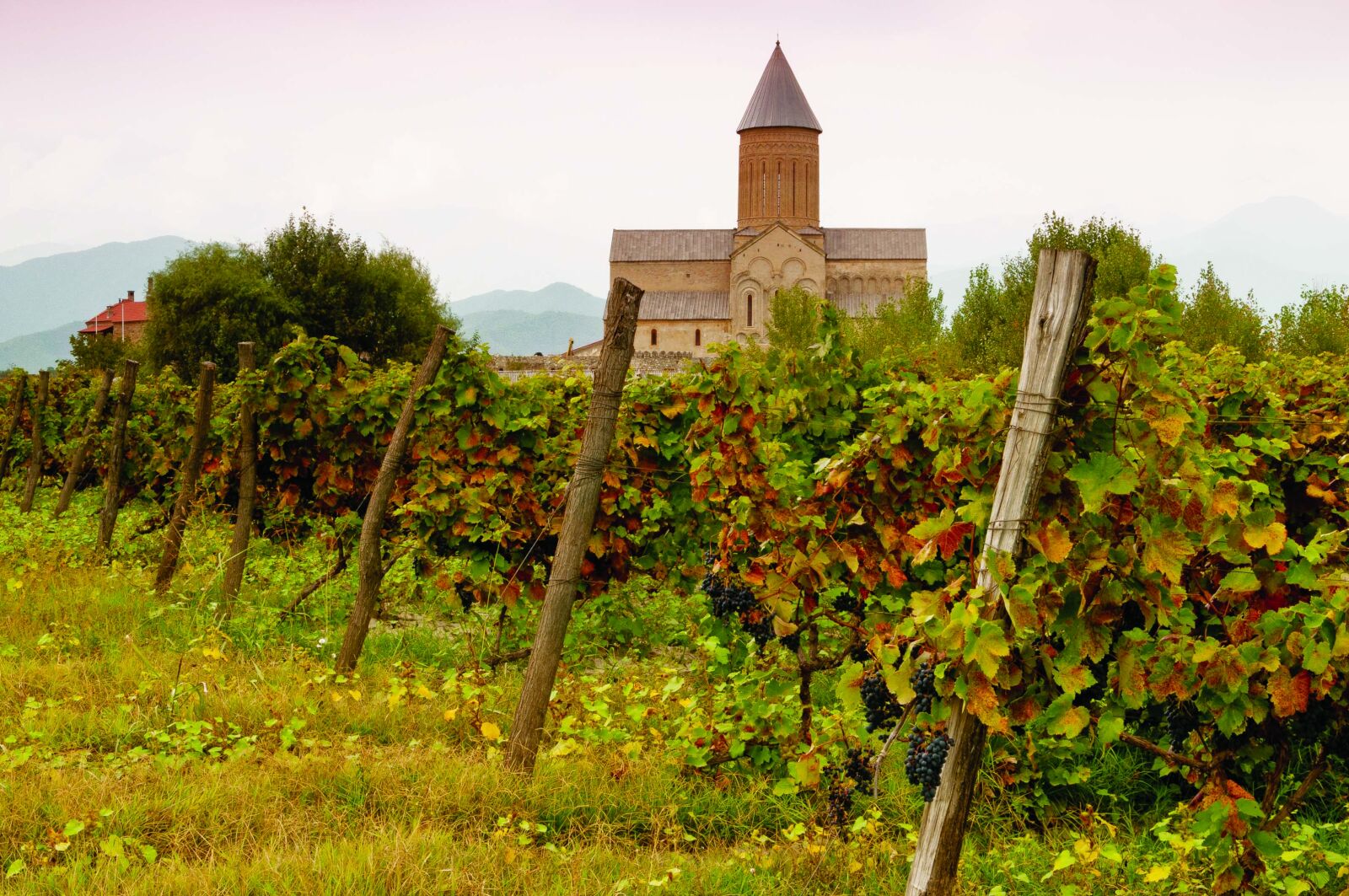 Nikon D300 sample photo. Outdoors, agriculture, landscape photography