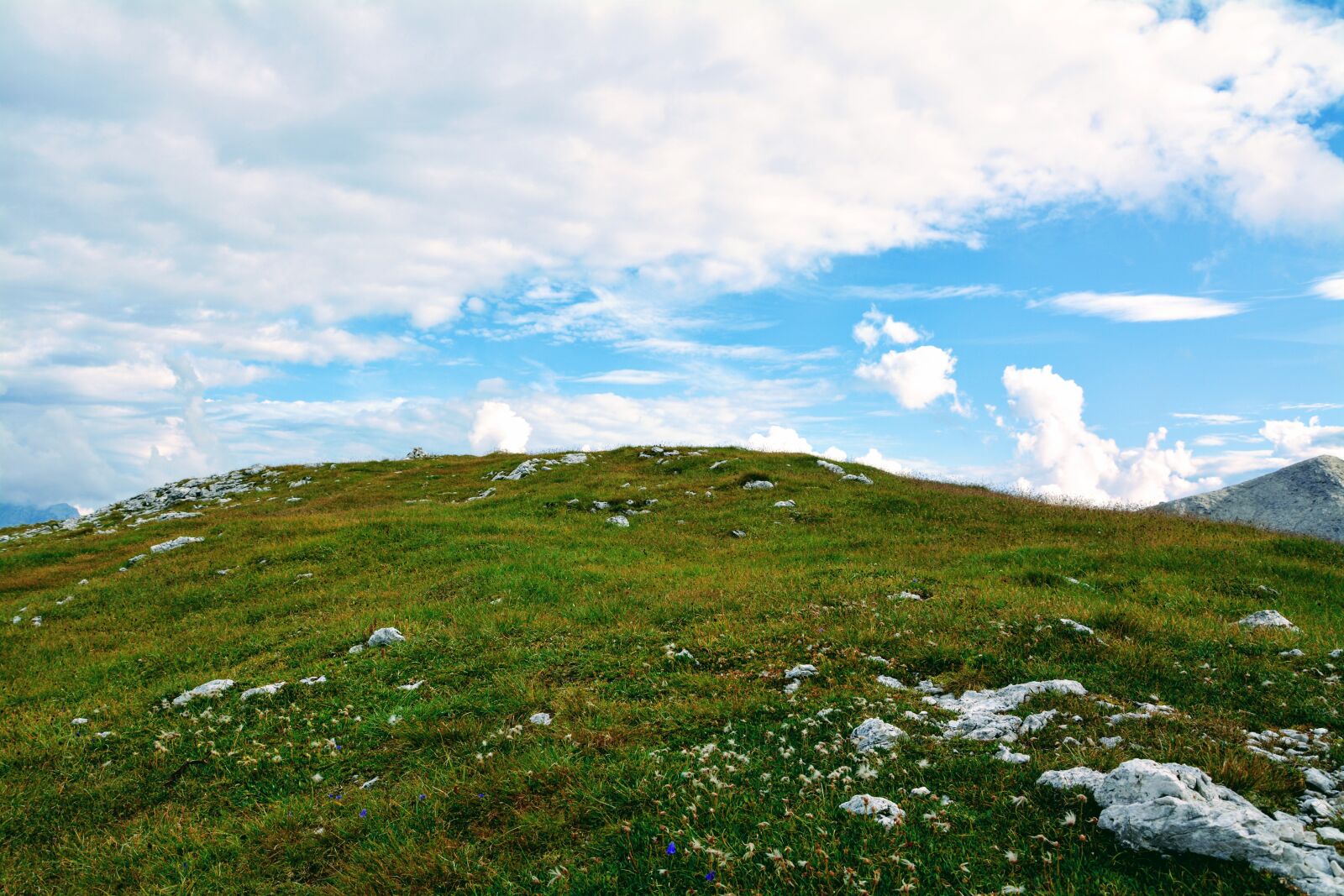 Nikon D7100 sample photo. Prato, sky, clouds photography